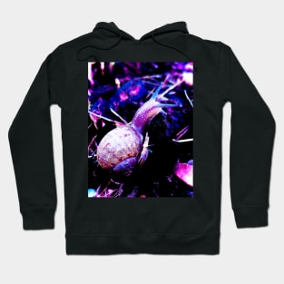 Surreal Snail Ultraviolet Hoodie